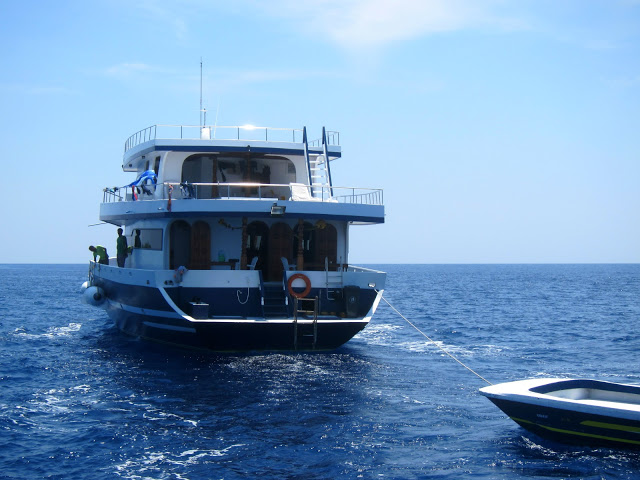 Dykking Livaboard Maldivene